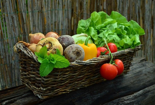 como parar de sentir fome toda hora com legumes e verduras